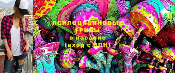 молекула духа Алексин