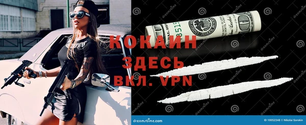 молекула духа Алексин